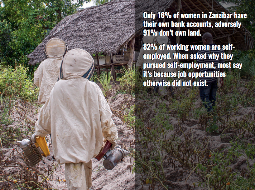 beekeeper women zanzibar africa barefoot college