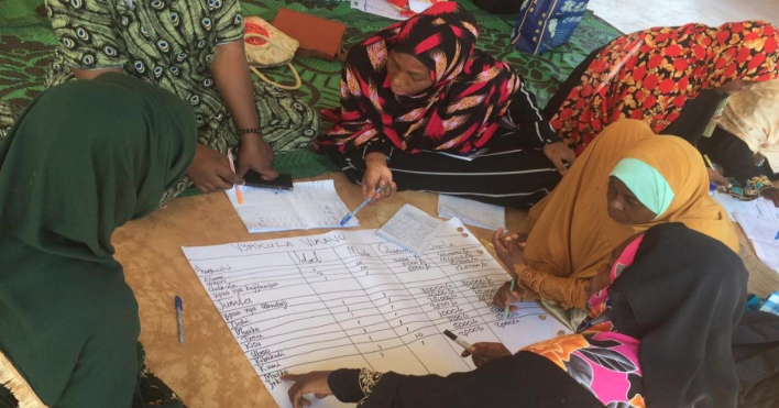 women projects zanzibar herstart barefoot college