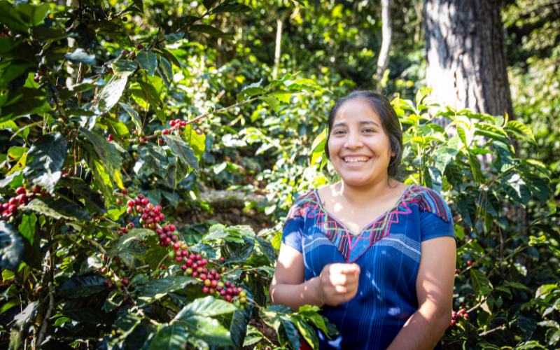 Mite women Barefoot College International