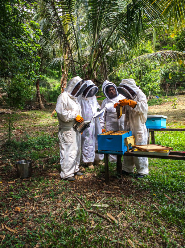 Pacific Islands beekeeping beekeepers barefoot college international women empower honey natural