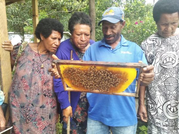 Pacific Islands beekeeping barefoot college international women