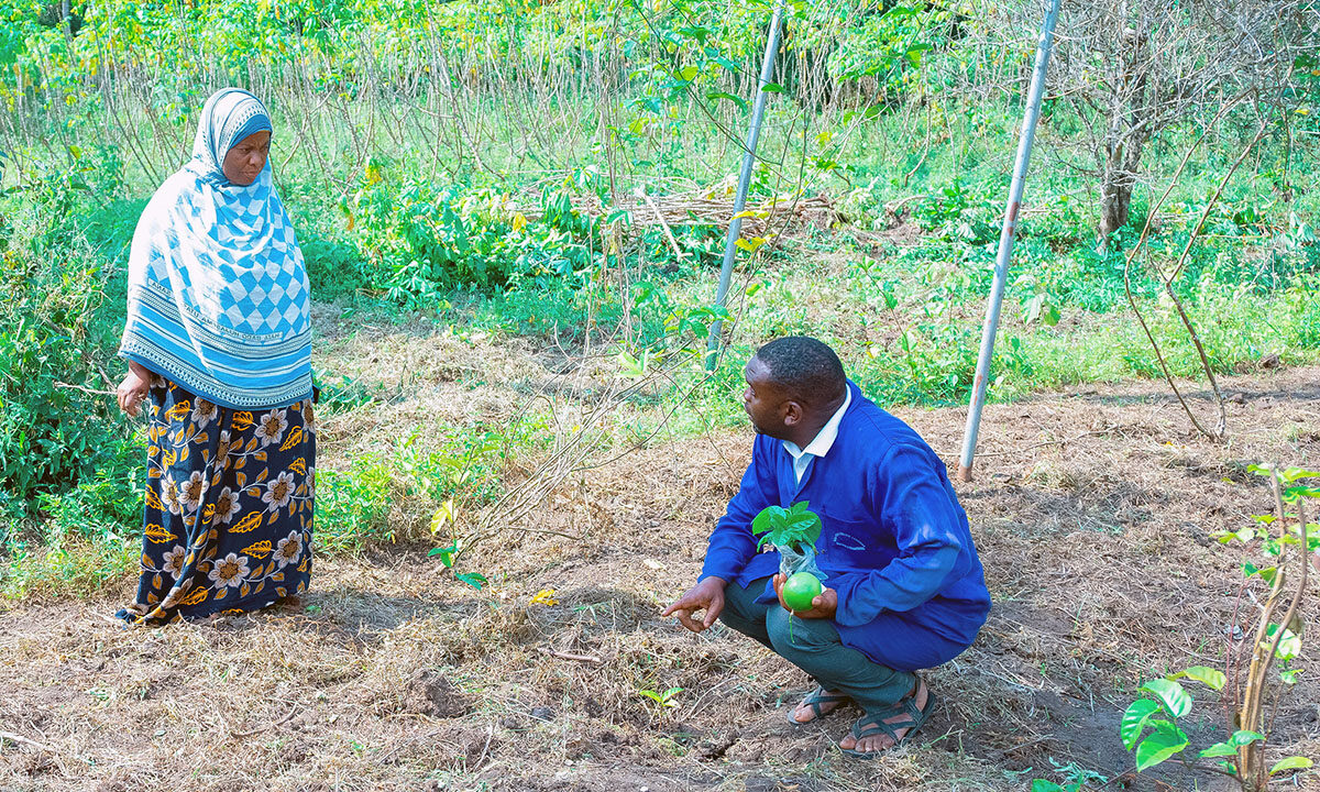 Zanzibar Regenerative Agriculture